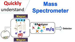 Mass spectrometry [upl. by Lasko]