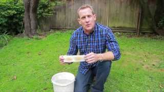 Nematodes for Lawn Grubs  NIC’s How to Apply [upl. by Amery]