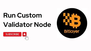 Running Your Custom Validator Node [upl. by Calia]