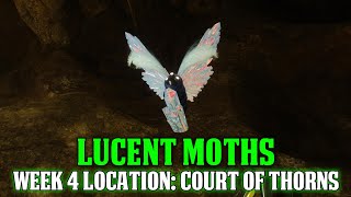 Destiny 2 Lucent Moths  Court of Thorns Location Lepidopteris Triumph [upl. by Uht]