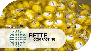 Eine Milliarde Tabletten Die Erfolgsgeschichte FE55  Fette Compacting [upl. by Tronna]