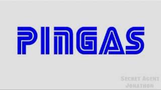 PINGAS logo Old video from 2010 [upl. by Aubyn515]