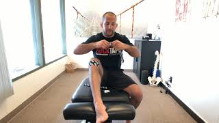 Patellar Tendinopathy Rehab  Isotonic Exercises [upl. by Anitsirhc]