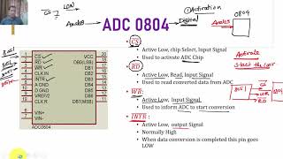 ADC0804 interfacing with 8051 Microcontroller [upl. by Whittaker]