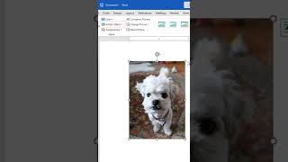 How to add a background blur in Figma [upl. by Naed109]