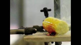 Fluorine Reactions  Periodic Table of Videos [upl. by Atnoid]