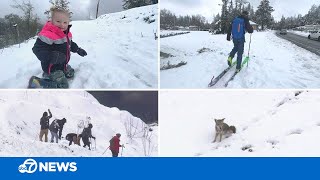 A look at the best snow videos from rare snowfall across Bay Area [upl. by Dorothea296]