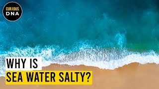 Why there is salt in the ocean [upl. by Aimahc]