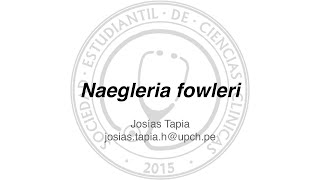 Naegleria Fowleri [upl. by Hteik]