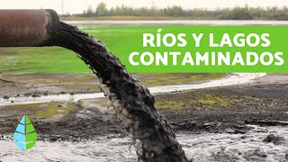 CAUSAS y CONSECUENCIAS de la CONTAMINACIÓN de LAGOS y RÍOS [upl. by Addam]