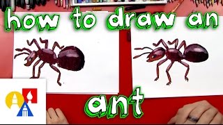 How To Draw An Ant [upl. by Light844]