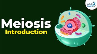 Introduction to Meiosis  Dont Memorise [upl. by Eneja]