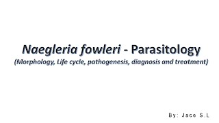 Naegleria Fowleri  Parasitology [upl. by Eemyaj739]