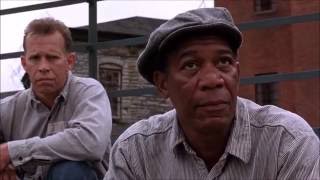 Best Quotes from The Shawshank Redemption [upl. by Doehne209]