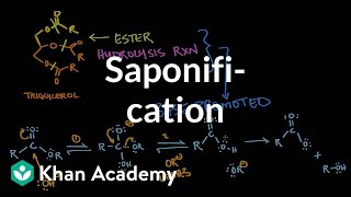 Saponification  Base promoted ester hydrolysis  MCAT  Khan Academy [upl. by Nesmat]