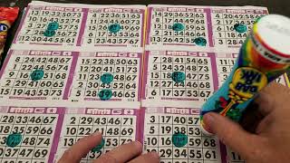 Bingo Games [upl. by Mozza]