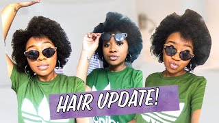 1 Month Natural Hair Update  Keratin Treatment  4C Hair [upl. by Enileme]