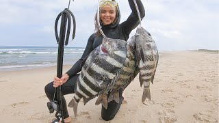 Spearfishing SHEEPSHEAD OFF THE BEACH in OUTER BANKS  CATCH AND COOK [upl. by Chipman153]