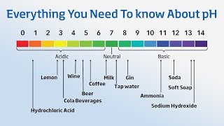 Using a pH Meter  Everything You Need to Know About pH [upl. by Aileek]