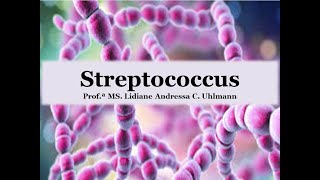 Streptococcus  Bacteriologia Clínica [upl. by Vera]