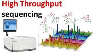 High throughput sequencing [upl. by Westfahl743]