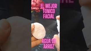 Agua de arroz  mejor tonico facial [upl. by Devi]