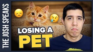 How To Deal with Losing a Pet 🐶☠🐱 [upl. by Acirre]