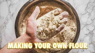 How To Make Your Own Flour At Home [upl. by Juakn]