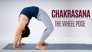 How to do Chakrasana Wheel Pose  Yoga  Standing Postures  Yoga For Thyroid [upl. by Pincince]