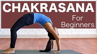 Chakrasana for Beginners  Urdhva Dhanurasana  Wheel pose l Preperation  Yogbela [upl. by Handel]