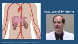 Hepatorenal syndrome [upl. by Cofsky]