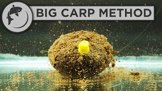 How To Fish The Method Feeder For BIG CARP [upl. by Brewer]