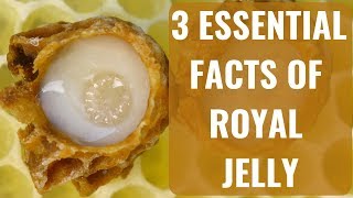 3 amazing things about Royal Jelly you must know to get its benefits [upl. by Atirhs]