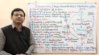 Diabetes Mellitus Part10 Mechanism of Action of Sulfonylurease  Antidiabetic Drugs  Diabetes [upl. by Melentha379]