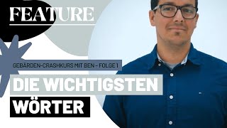 GebärdenCrashkurs mit Ben – Folge 1 [upl. by Ahsekat]