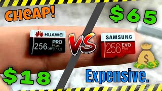 Cheap Micro SD Card VS Expensive SD Card  Full Flash Memory Test and Comparison [upl. by Aserret37]