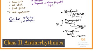 Class II Antiarrhythmics  BBlockers  UPB Lectures [upl. by Ubald891]