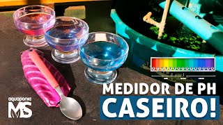 Medidor de pH CASEIRO [upl. by Morgun]