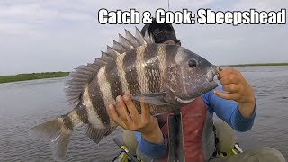 CATCH amp COOK Sheepshead POOR MAN’S LOBSTER [upl. by Hutton]