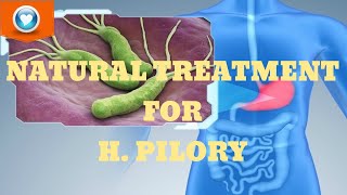 Gastritis H Pylori Persistence [upl. by Brey]