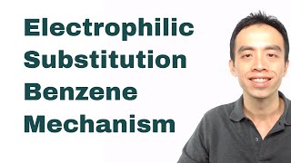 Electrophilic Substitution Benzene Mechanism  Organic Chem [upl. by Orlanta]