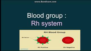 Rh blood group system [upl. by Moishe]