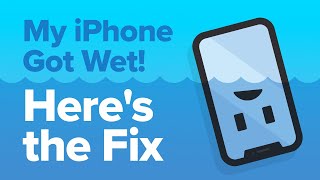 My iPhone Got Wet How To Fix iPhone Water Damage [upl. by Anaigroeg188]