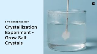 Crystallization Experiment  Grow Salt Crystals  DIY Science Project [upl. by Kachine]