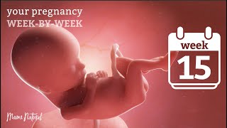 Transient Tachypnea of the Newborn  TTN  Tala Talks NICU [upl. by Yelsew]