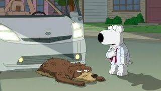 Family Guy Brian Runs over a Dog [upl. by Amej]