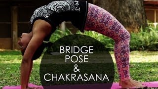 Backbend Yoga Poses Chakrasana The Wheel Pose I 2 [upl. by Aseiram]