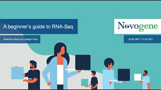 A Beginners Guide to RNASeq [upl. by Naitsyrk]