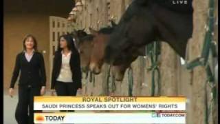 Princess Ameerah AlTaweel Wife of Prince Alwaleed Bin Talal Interview on NBCTODAYSHOW [upl. by Rhyner833]