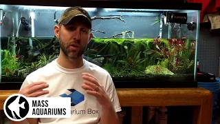 How to REMOVE NITRATES from your Aquarium 3 steps to Balance Nitrate levels in your Aquarium [upl. by Ailla]